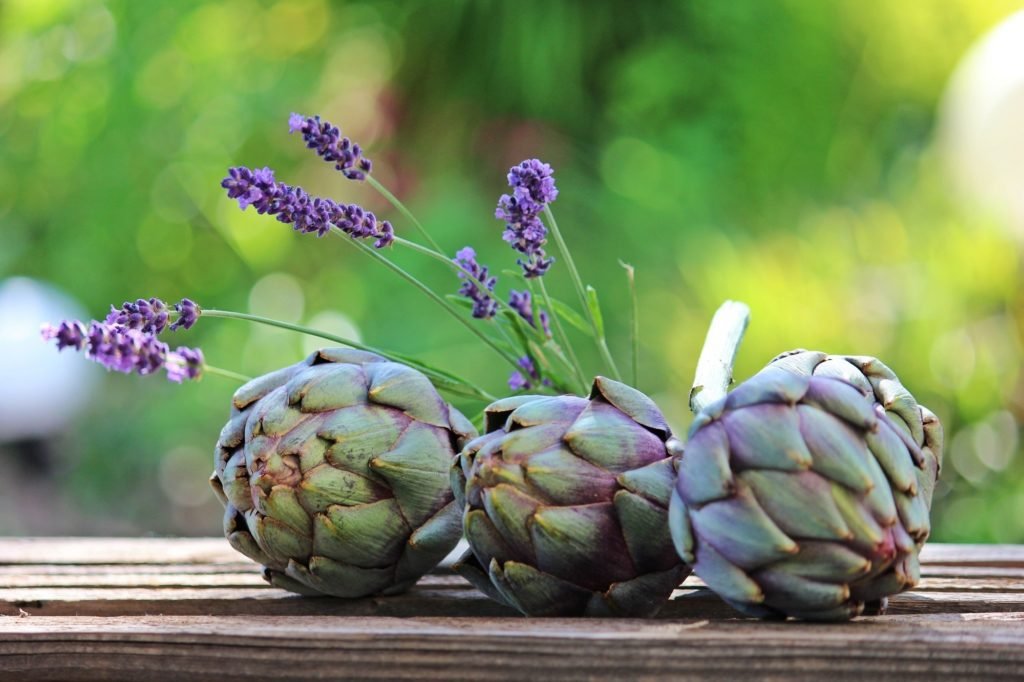 Artichokes for lymphoma