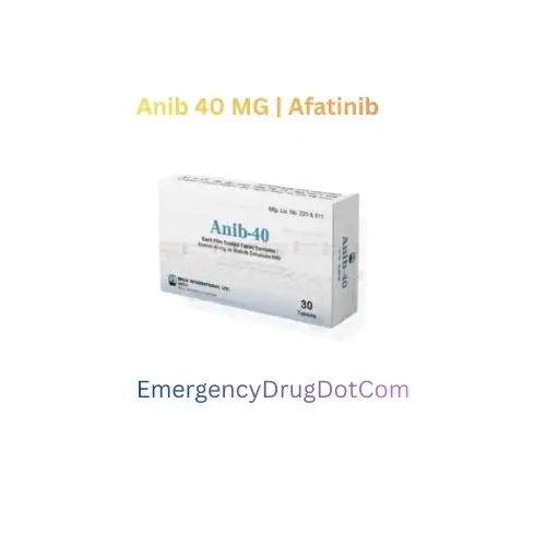 Anib 40 Mg (Afatinib) – 30 Tablets 2 Anib 40 MG Afatinib