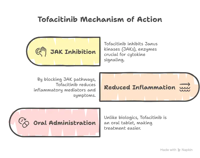 How Does Tofacent 5 mg Work