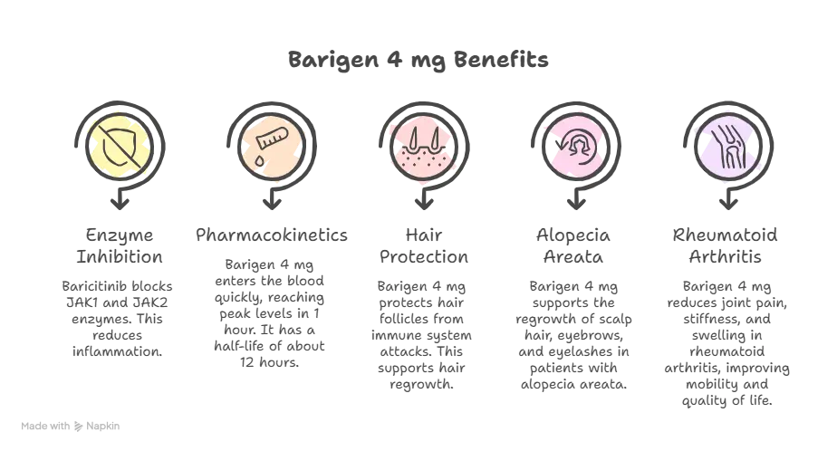 How Does Barigen 4 mg Work